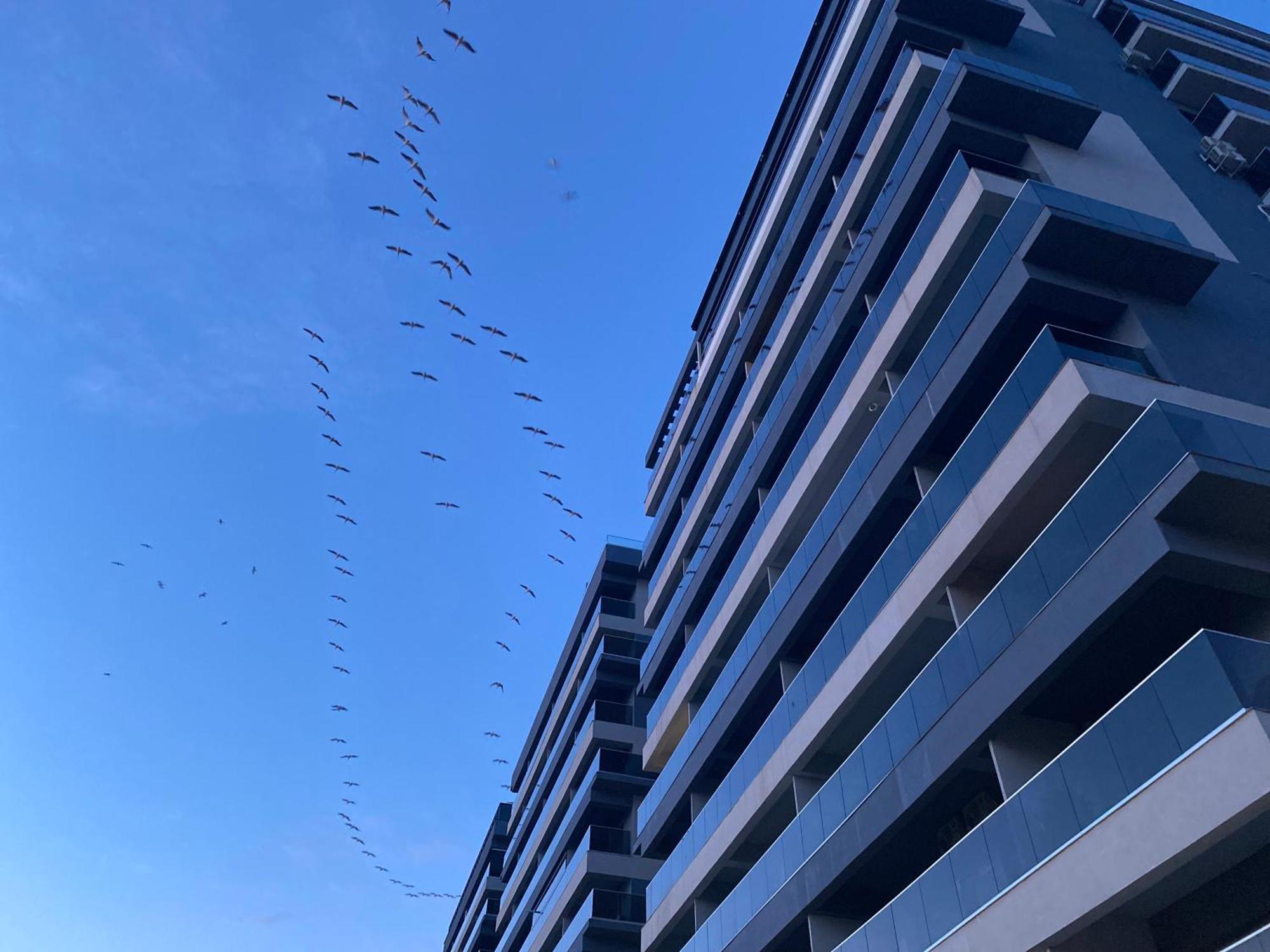 Elysse Sunrise Apartment Mamaia Buitenkant foto
