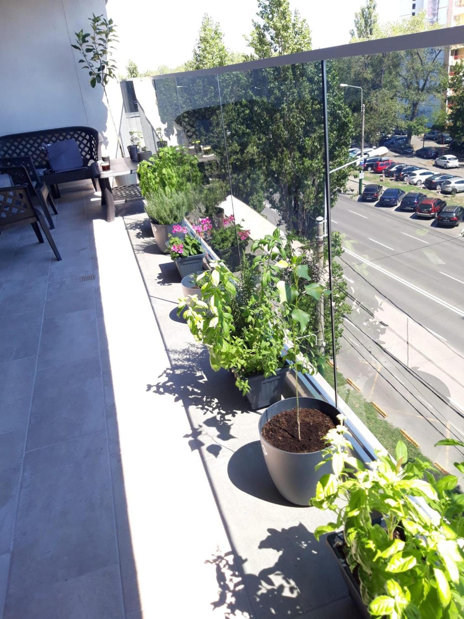 Elysse Sunrise Apartment Mamaia Buitenkant foto